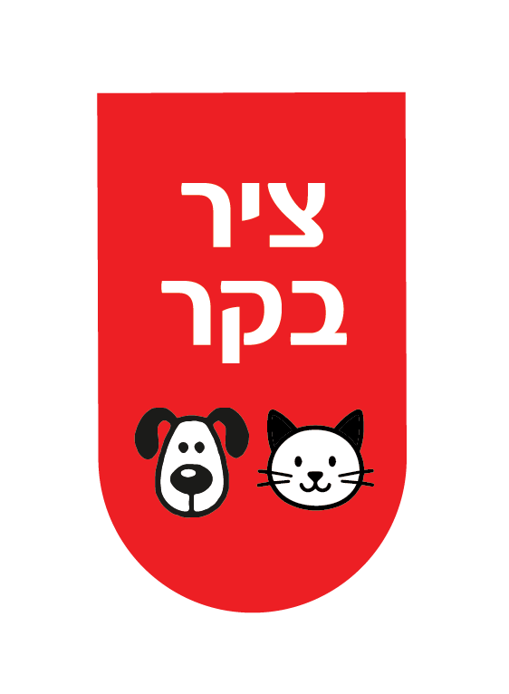 ציר בקר