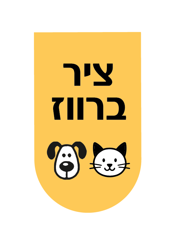 ציר ברווז